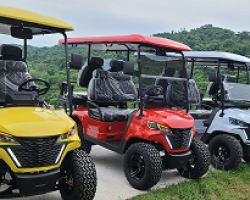 Golf Carts