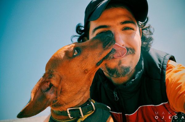 An interview with Marco Ojeda: One of Sayulita’s Great Dog Behavior Consultants