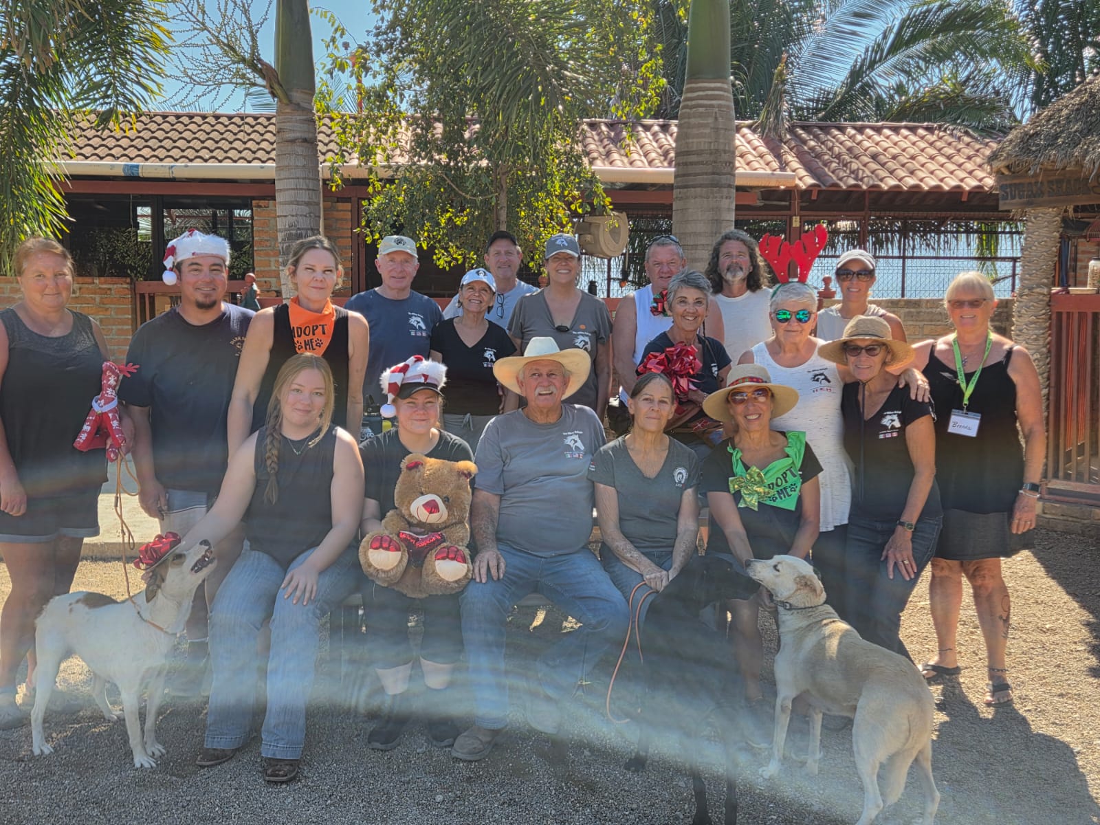 Hilltop Refugio: Caring for Sayulita’s Most Vulnerable Animals