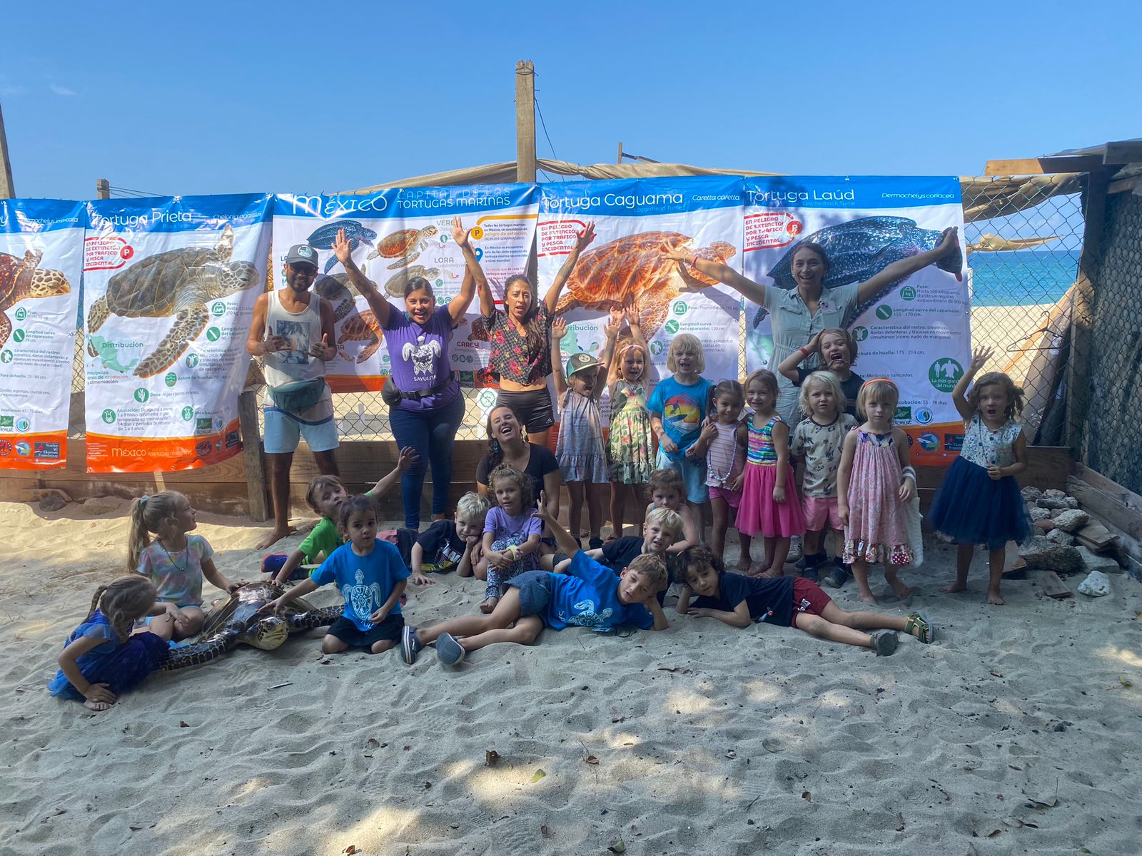 A Season of Hope: Sayulita Turtle Camp’s 2025–26 Journey